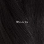Prirodno Crna